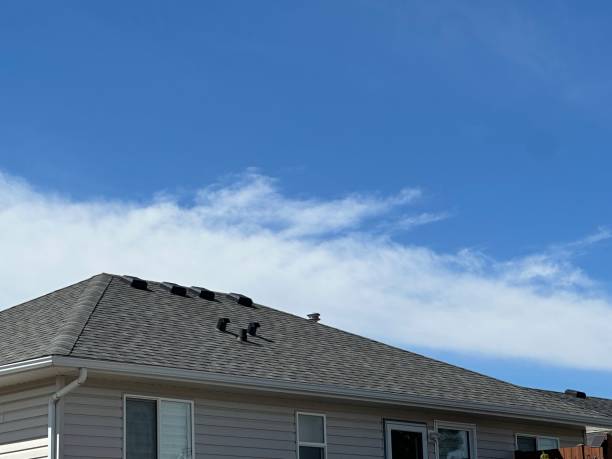Hot Roofs in Makawao, HI